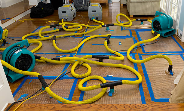 Professional Sewage Cleanup technician working in Plainville, MA